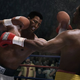 Illustration for article titled Whats It Take To Get A Boxer To Return Your Calls?